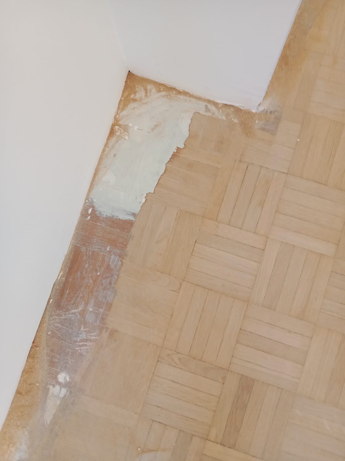 Appartement familial - photo 14